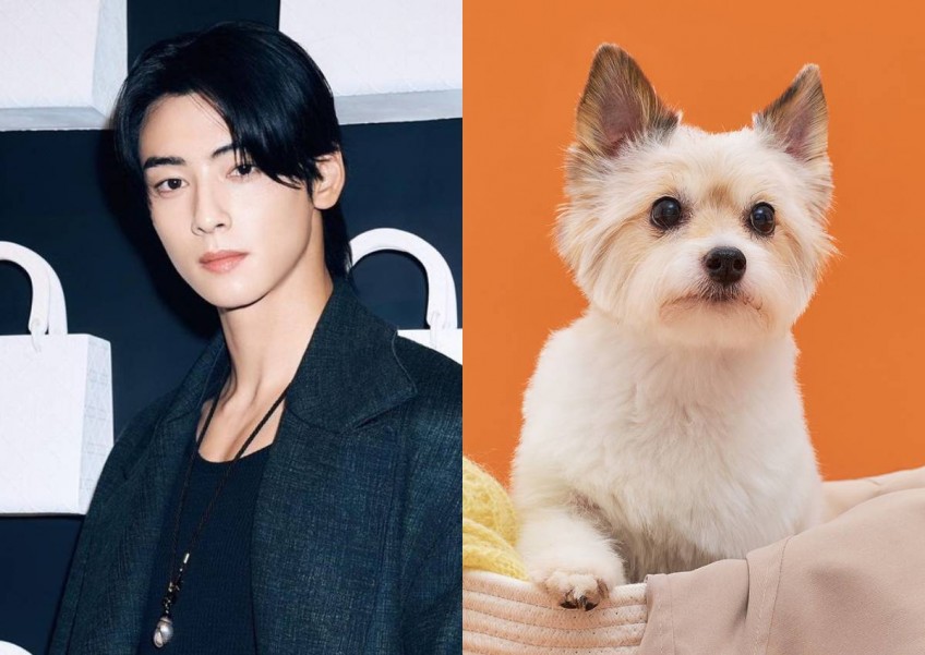 Cha Eun-woo pone golosinas para perros en la boca para que su coprotagonista canino coopere en un nuevo drama