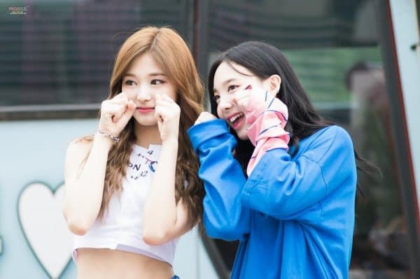 La broma de Nayeon revela la verdadera relación entre ella y Tzuyu: ¿Estos dos miembros se odian como si fueran rumores?