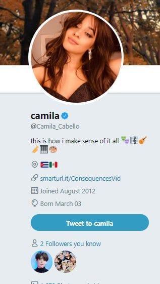 La estrella del pop Camila Cabello ha demostrado su extraordinario amor por BTS.