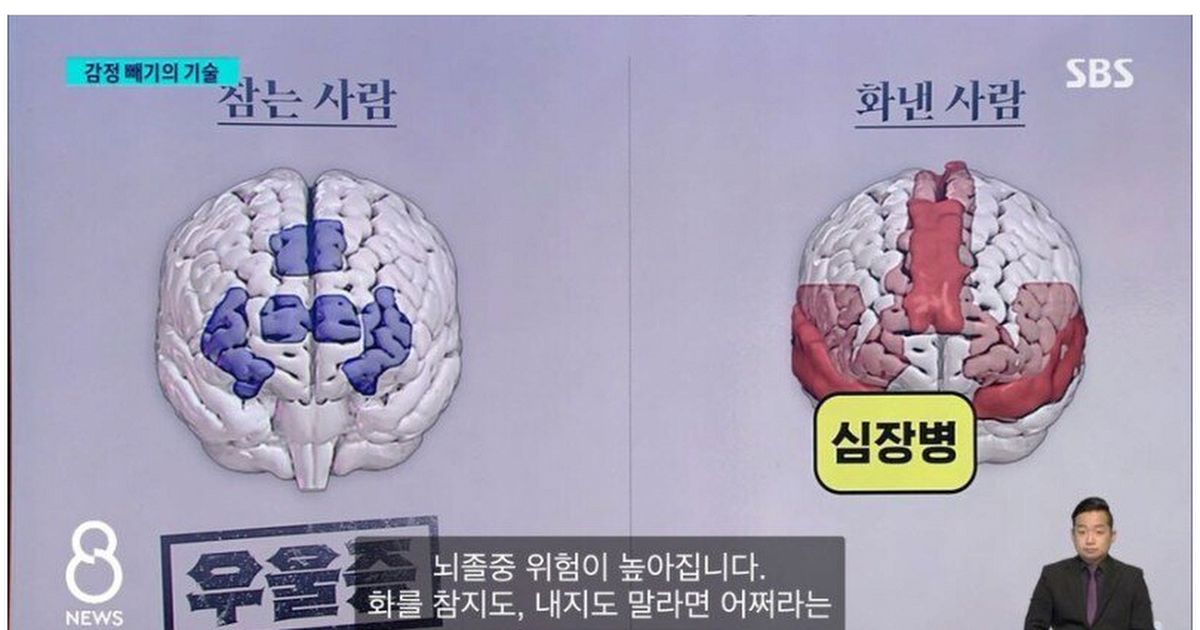 (Internautas Opinan) COMPARANDO EL CEREBRO DE LAS PERSONAS QUE SON CAPACES DE CONTENER SU ENOJO CON EL DE LAS PERSONAS QUE ESTÁN ENOJADAS